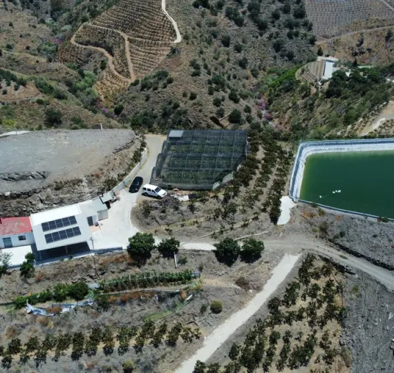 Residential plot R4779304