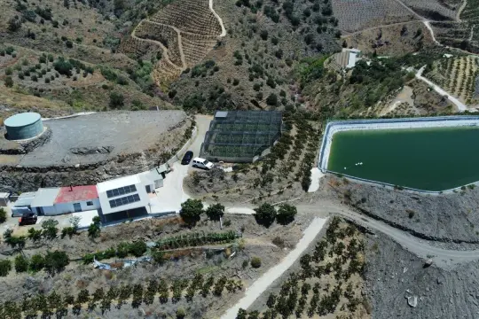 Image 4 thumb