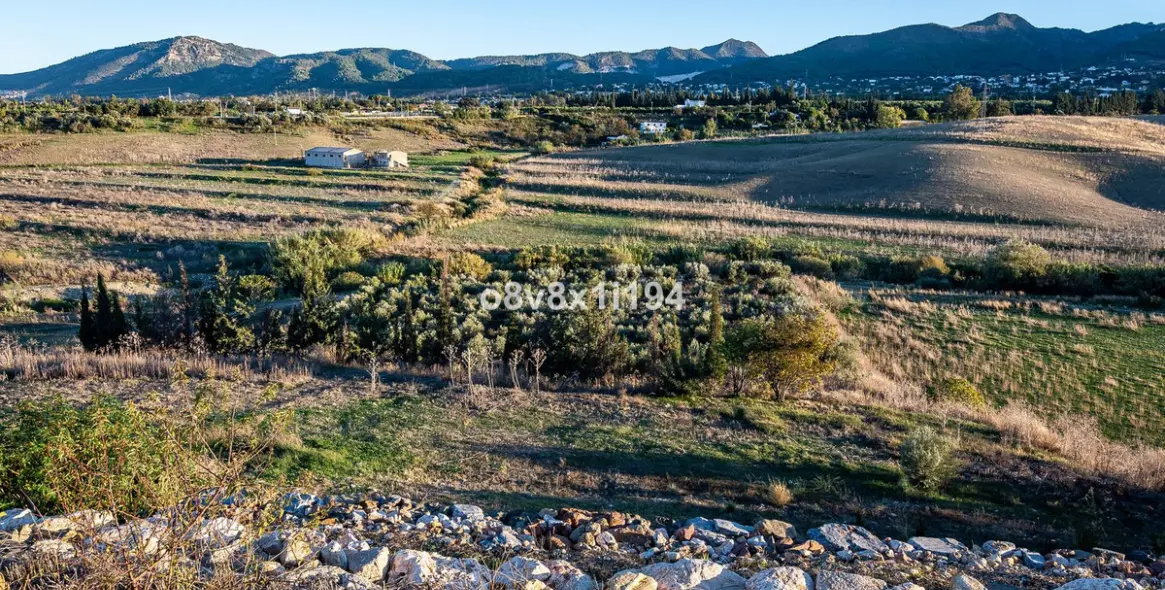 Sale of finca - cortijo in Alhaurín de la Torre 45
