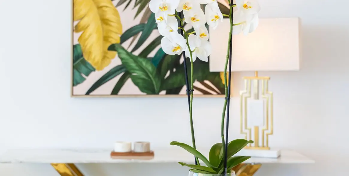 Venta de ático en Carvajal 26