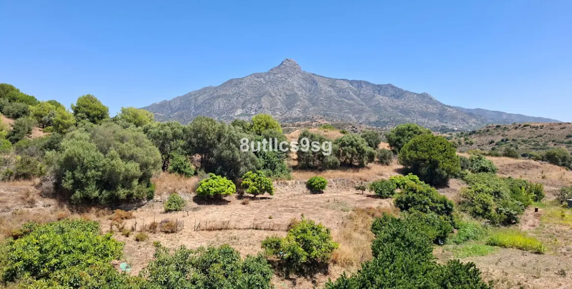 Venta de apartamento en planta media en Aloha 36