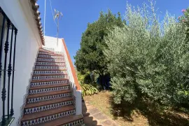 Image 6 thumb