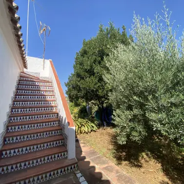 Venta de finca - cortijo en Estepona