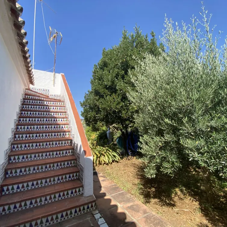Sale of finca - cortijo in Estepona