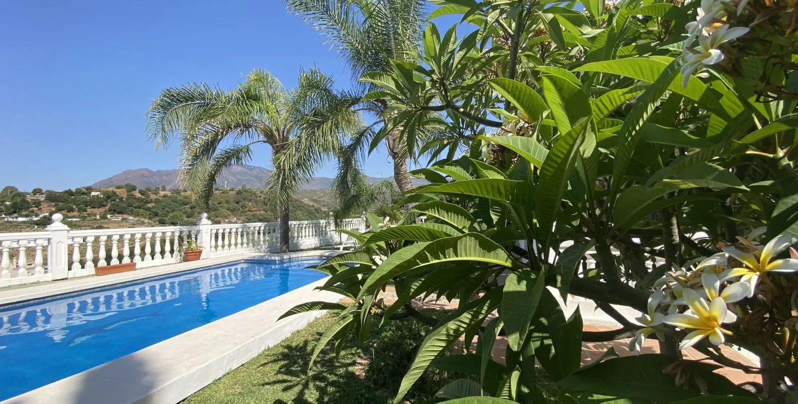 Sale of finca - cortijo in Estepona 22