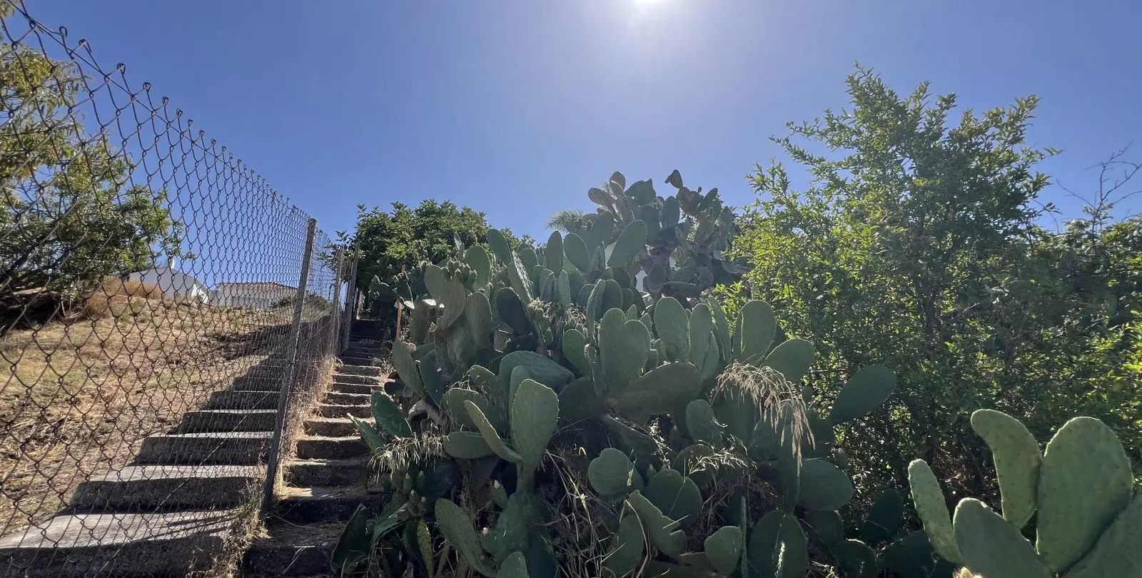 Sale of finca - cortijo in Estepona 26