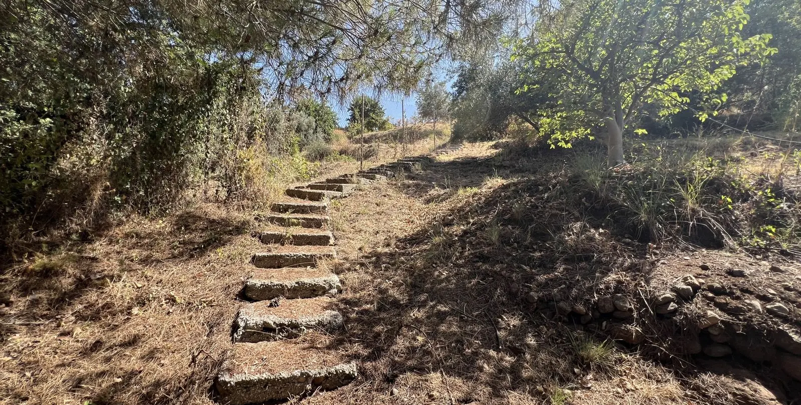 Sale of finca - cortijo in Estepona 27