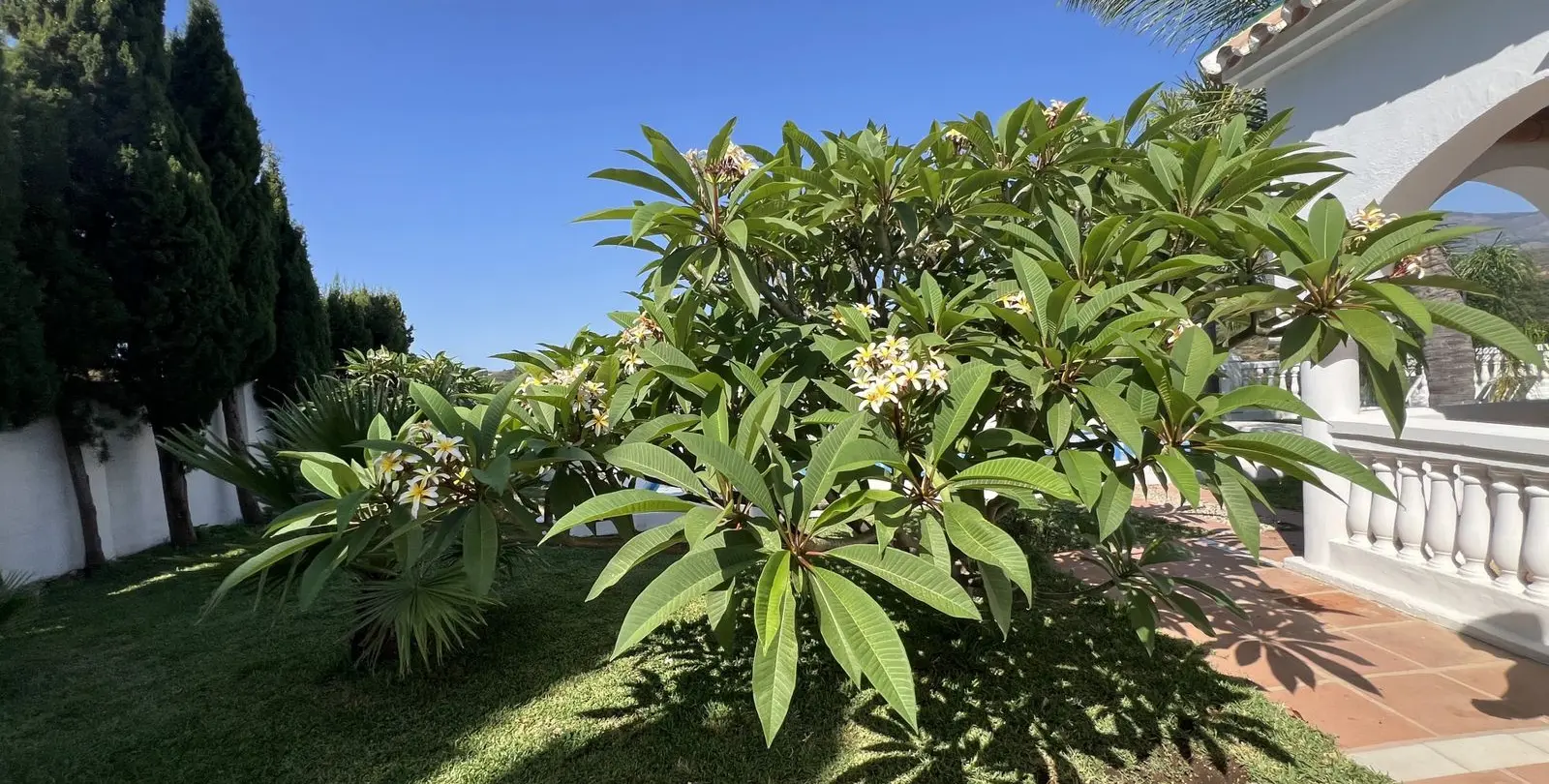 Sale of finca - cortijo in Estepona 29
