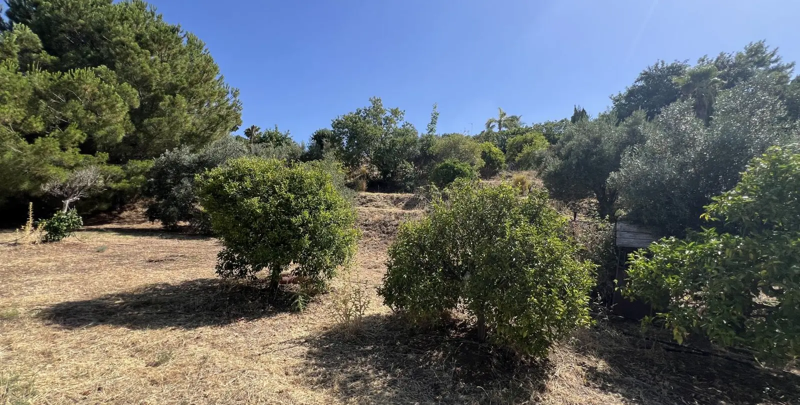 Sale of finca - cortijo in Estepona 30