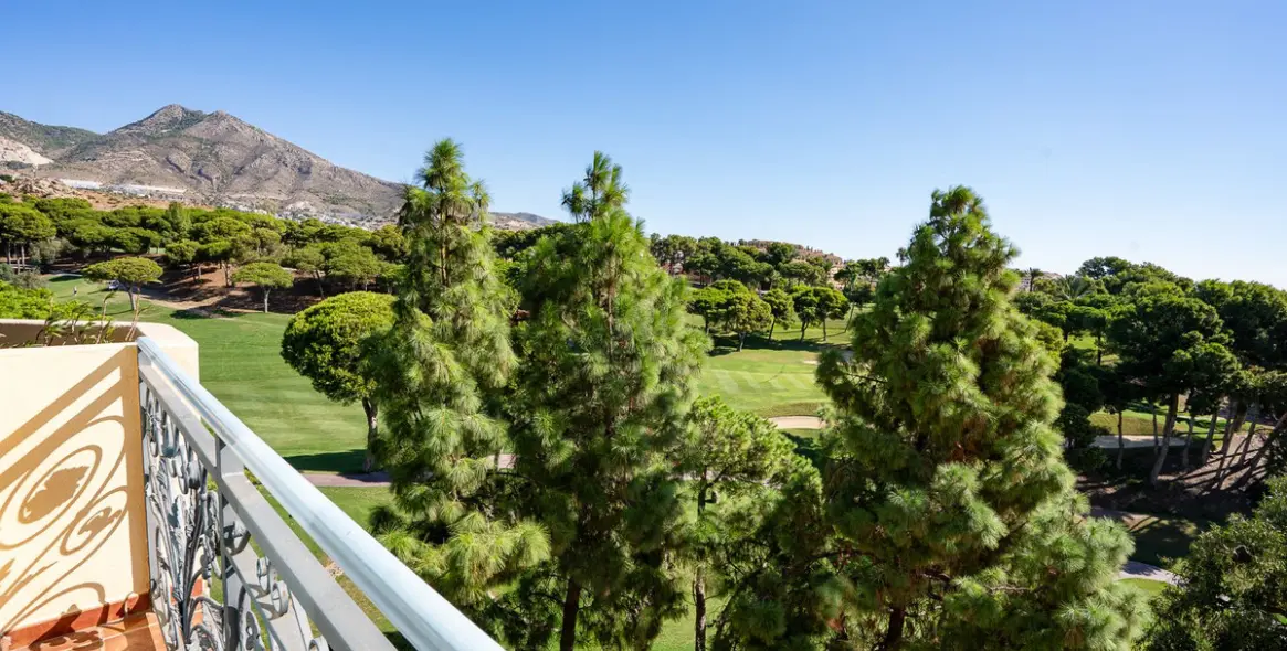 Sale of penthouse duplex in Torrequebrada 9