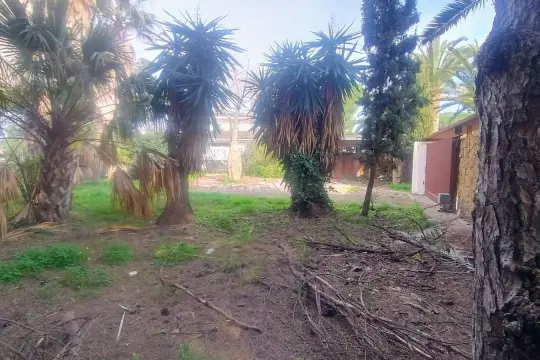 Image 4 thumb