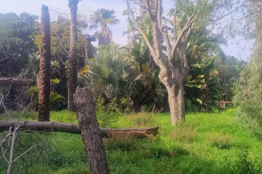Image 6 thumb
