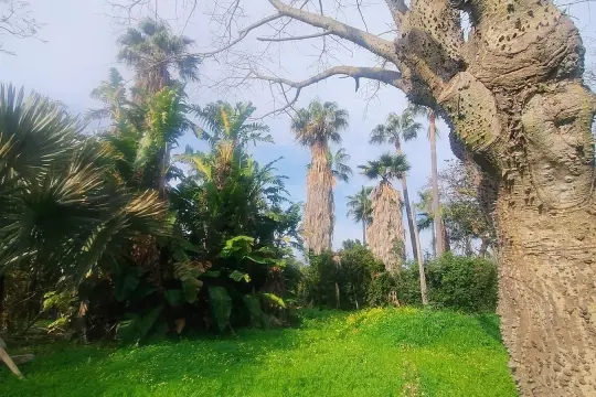 Image 8 thumb
