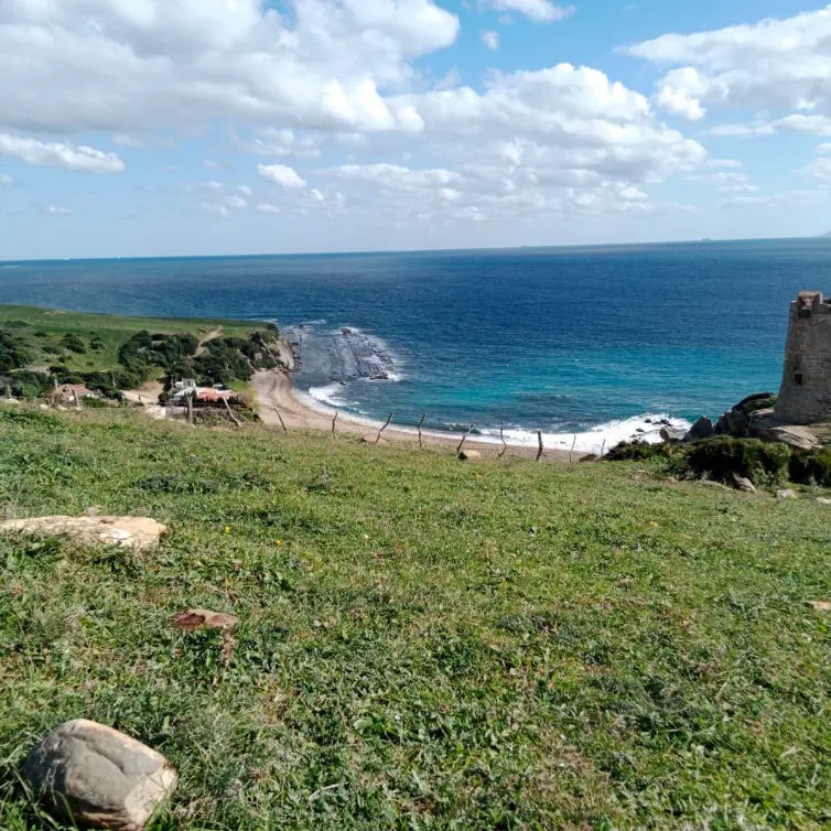Sale of residential plot in Manilva