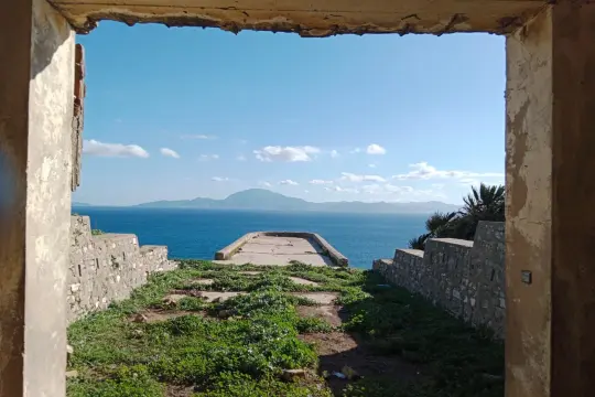 Image 7 thumb