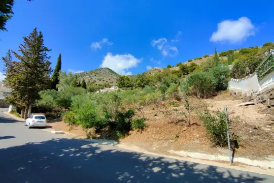 Image 6 thumb