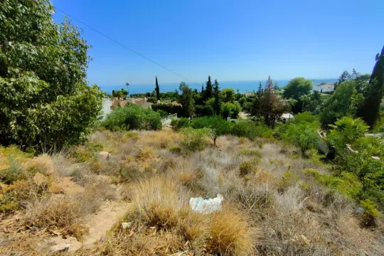 Image 8 thumb
