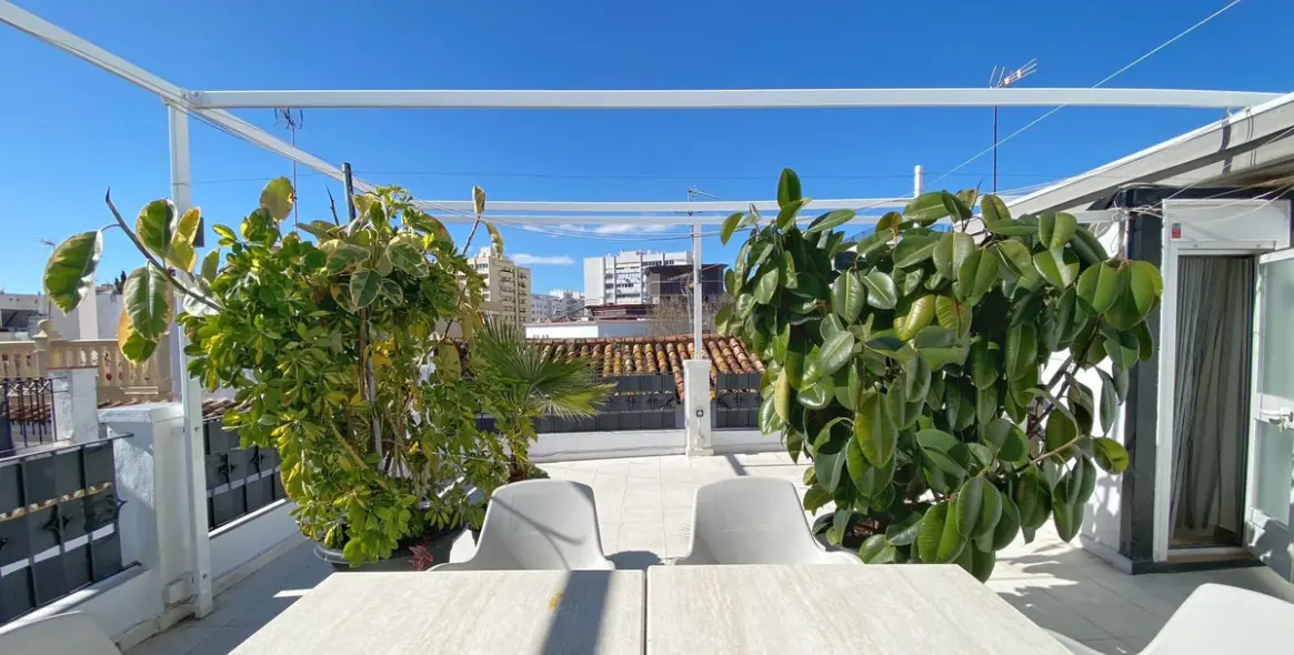 Sale of commercial premises in Marbella 1