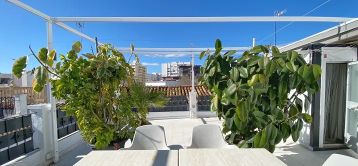 Sale of commercial premises in Marbella 0