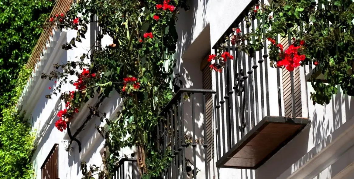 Sale of commercial premises in Marbella 20