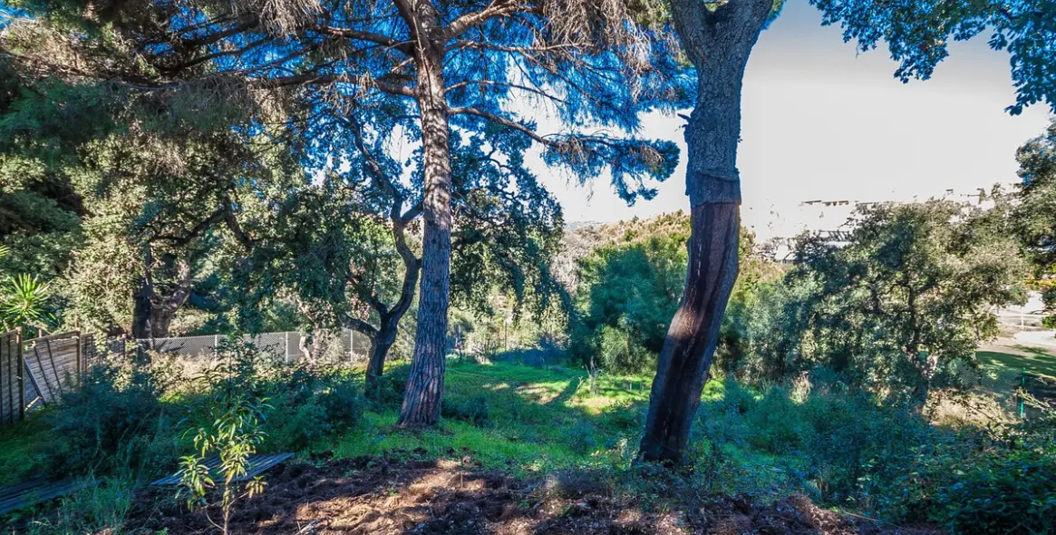 Продажа  отдельно стоящей виллы в Marbella East (район Elviria) 15