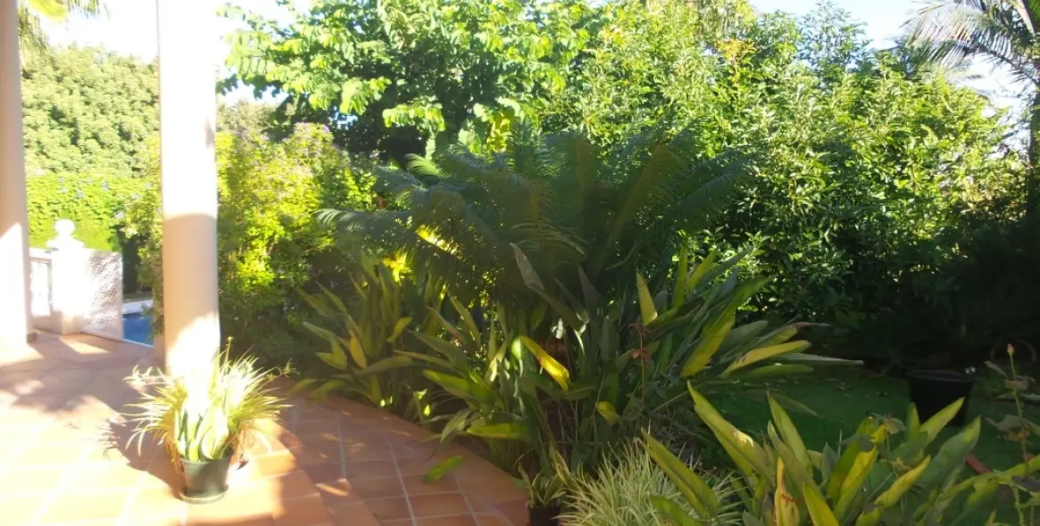 Sale of detached villa in Alhaurín de la Torre 38