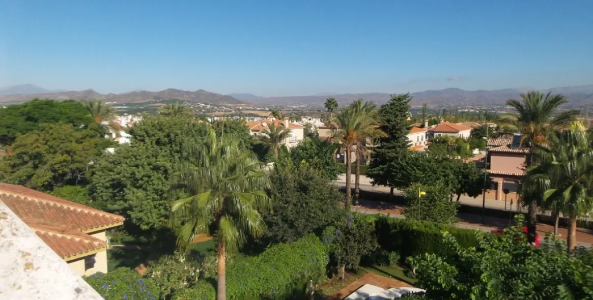 Sale of detached villa in Alhaurín de la Torre 41