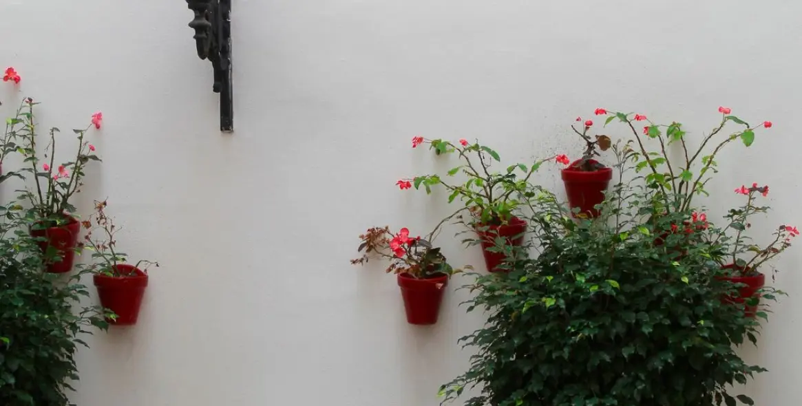 Продажа пентхауса в Puerto Banús 23