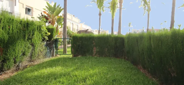 Продажа таунхауса в Bahía de Marbella 4