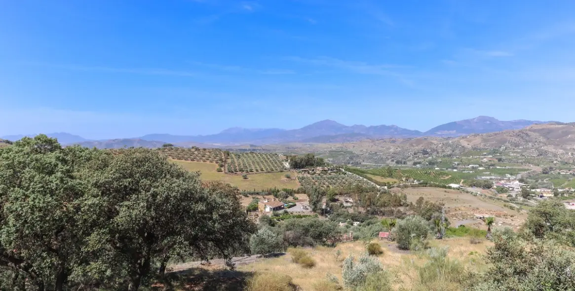 Venta de bed & breakfast en Alora 34