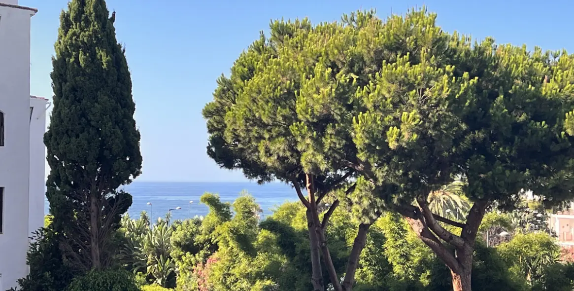 Sale of middle floor apartment in Puerto Banús 8