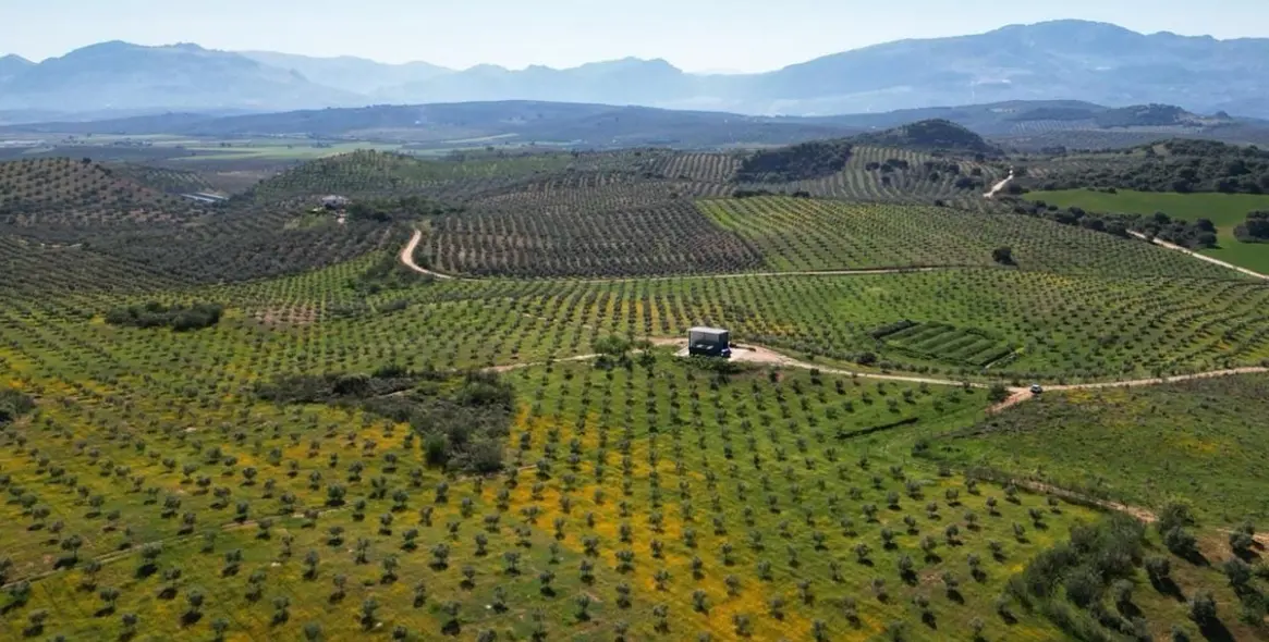 Продажа  жилого участка в Malaga (район Provincia de Málaga) 1