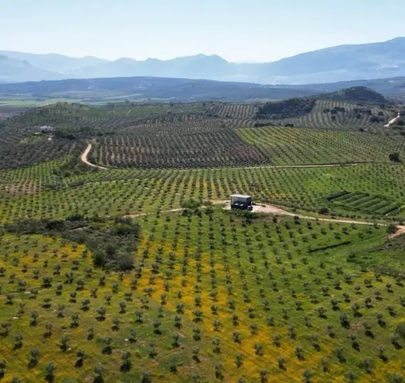 Жилой участок R4842031