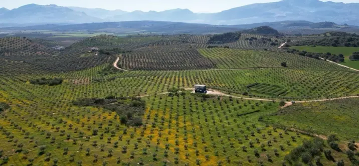 Жилой участок R4842031 0