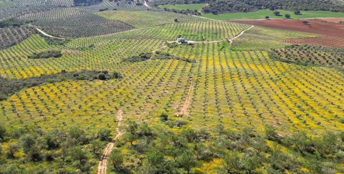 Продажа  жилого участка в Malaga (район Provincia de Málaga) 2