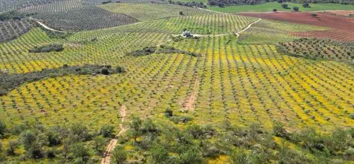 Жилой участок R4842031 1