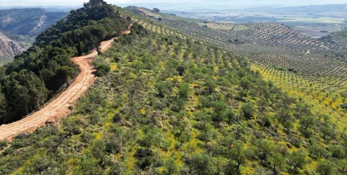 Продажа  жилого участка в Malaga (район Provincia de Málaga) 3