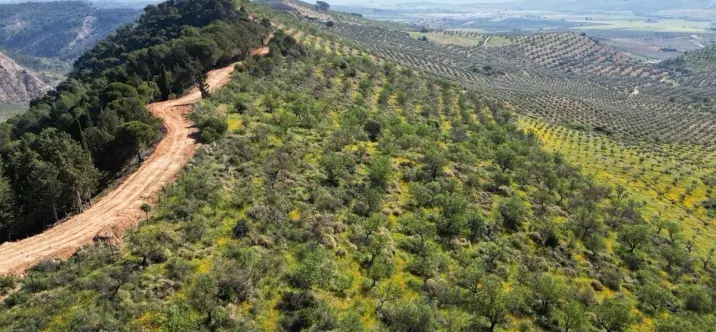 Жилой участок R4842031 2