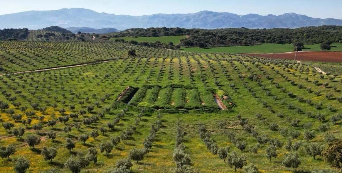 Продажа  жилого участка в Malaga (район Provincia de Málaga) 5