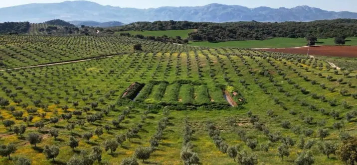 Жилой участок R4842031 4