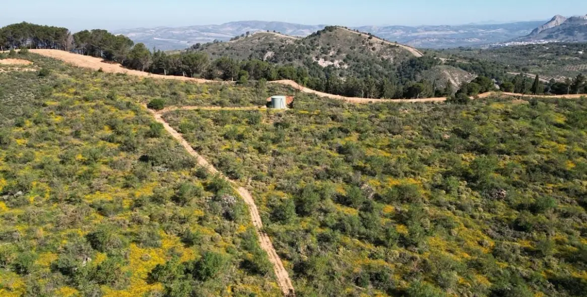 Продажа  жилого участка в Malaga (район Provincia de Málaga) 8