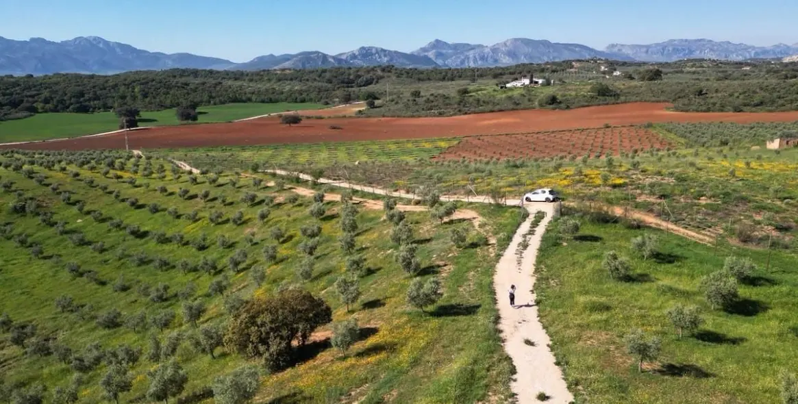 Продажа  жилого участка в Malaga (район Provincia de Málaga) 9