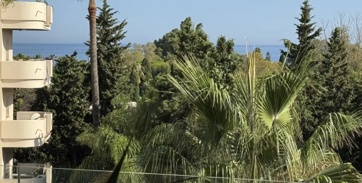 Sale of penthouse duplex in Nueva Andalucía 24