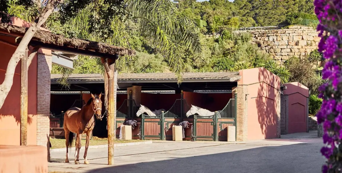 Sale of residential plot in Benahavís 21