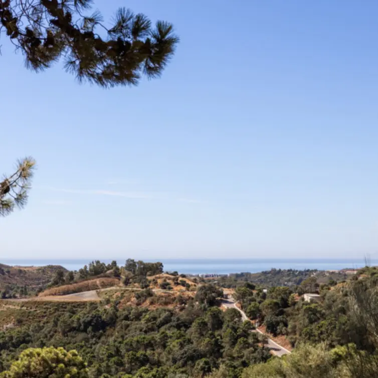 Sale of residential plot in Benahavís