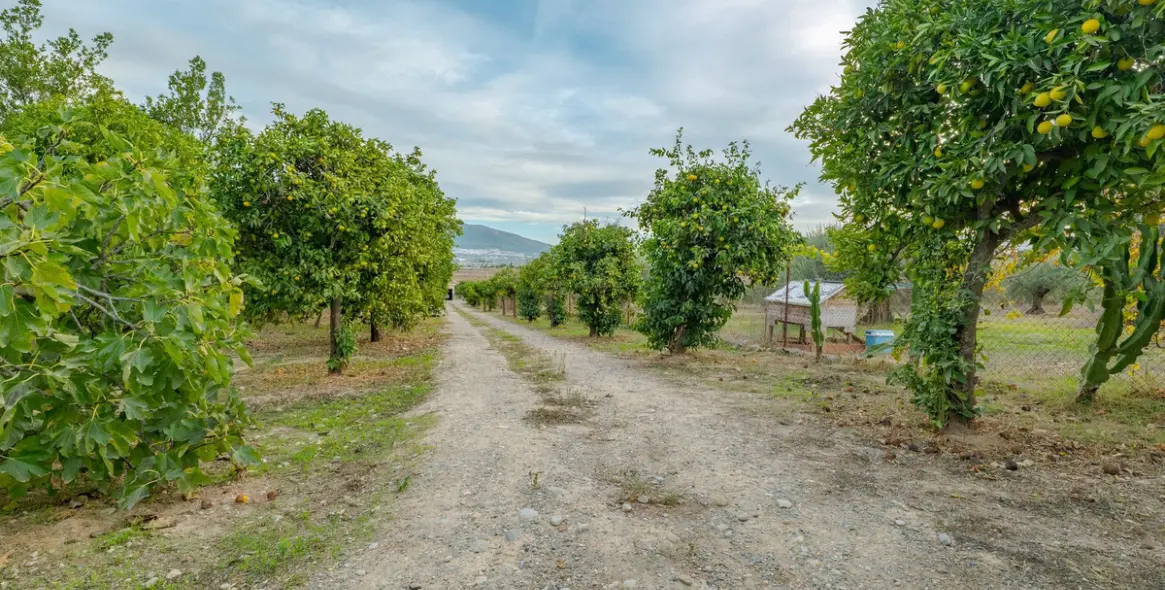 Sale of detached villa in Alhaurín el Grande 44
