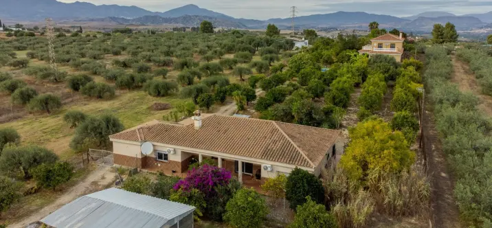 Sale of detached villa in Alhaurín el Grande 1