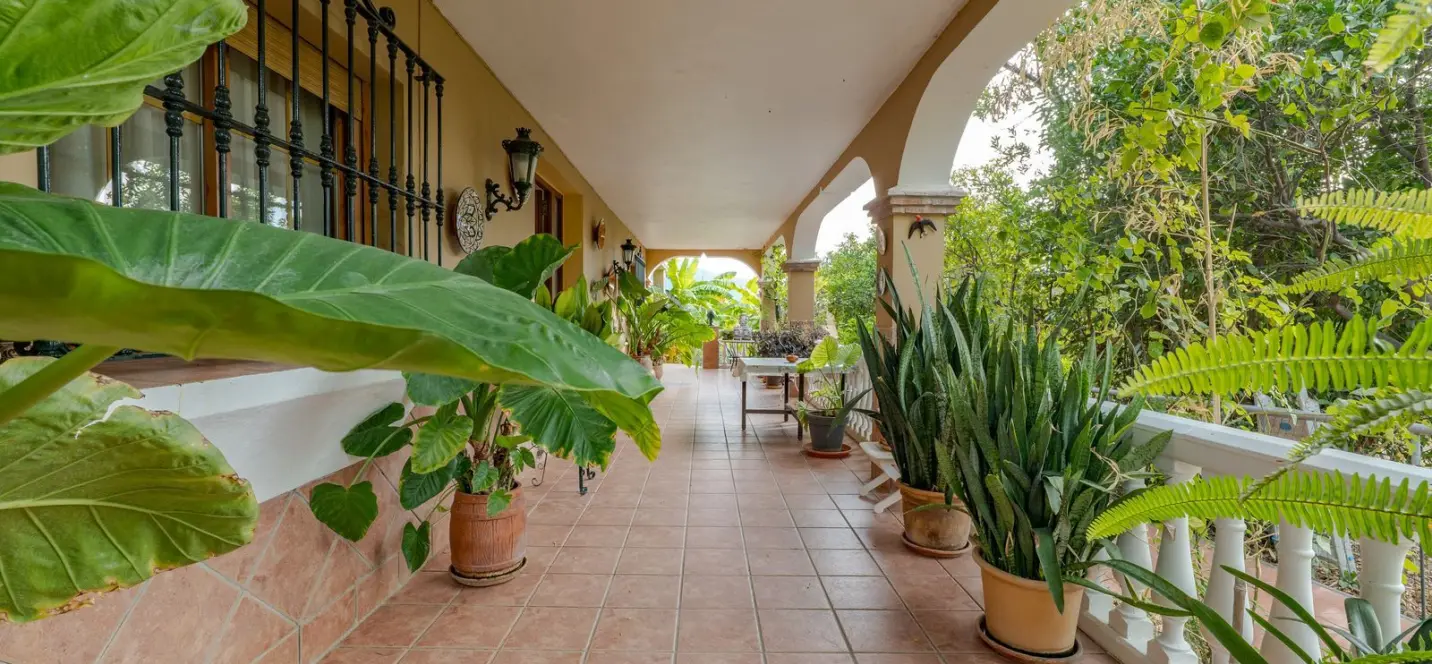 Sale of detached villa in Alhaurín el Grande 2