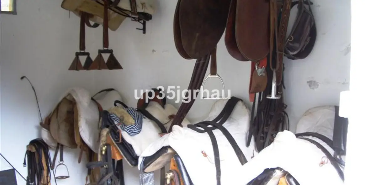 Продажа финки в Jubrique 8