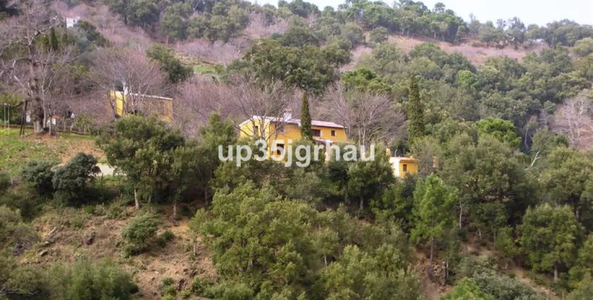 Продажа финки в Jubrique 9